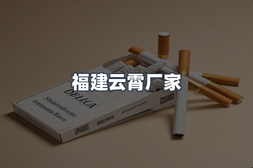 福建云霄厂家